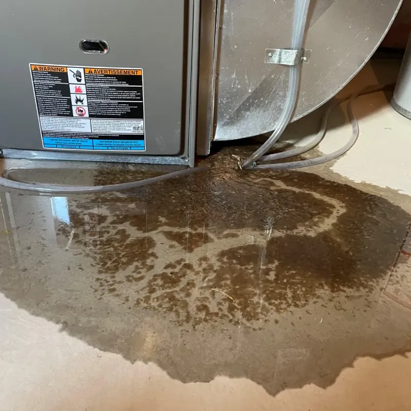 Appliance Leak Cleanup in LeChee, AZ